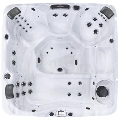 Avalon-X EC-840LX hot tubs for sale in Georgetown
