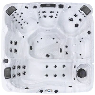 Avalon EC-867L hot tubs for sale in Georgetown